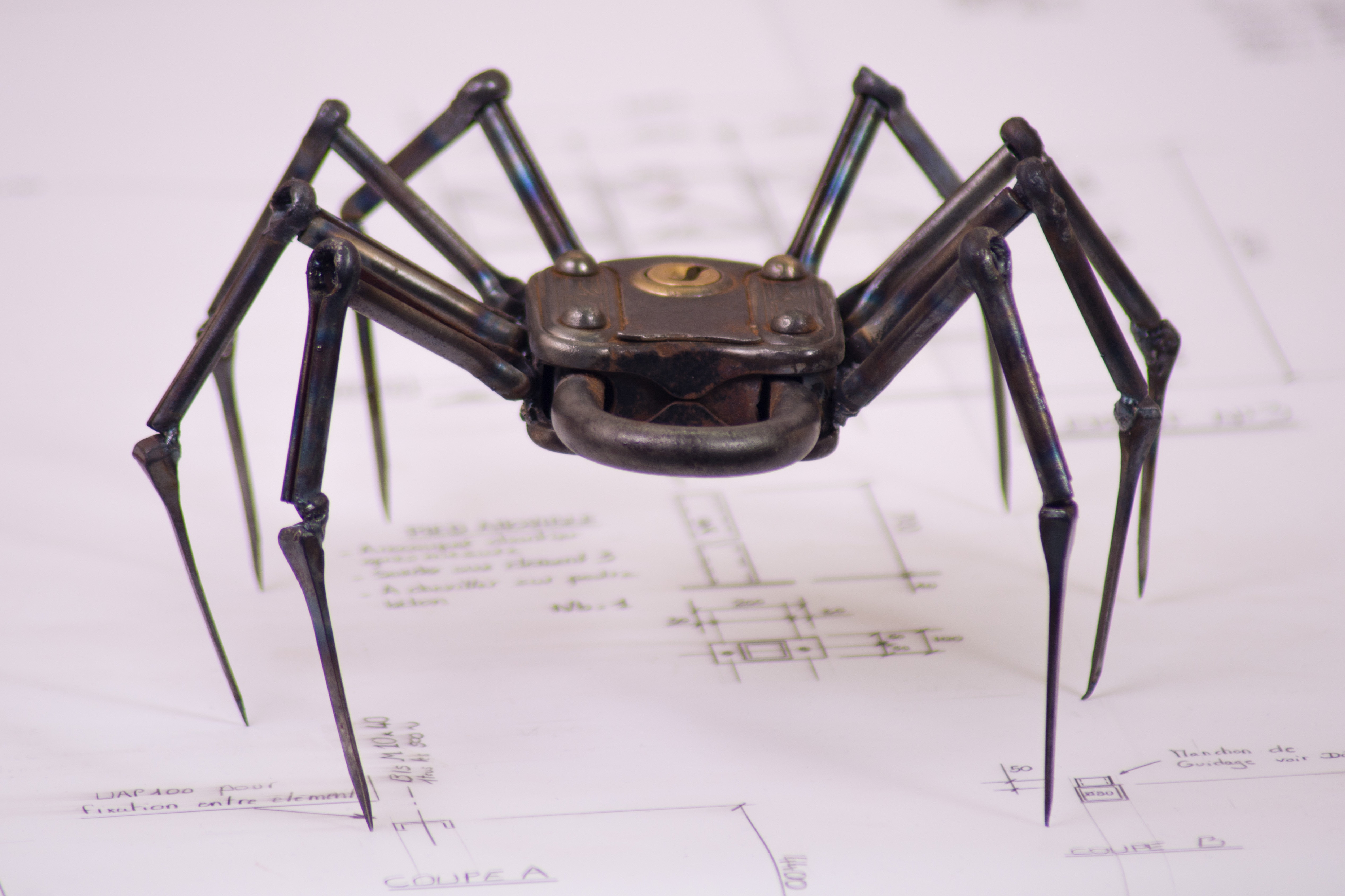 Insects par Jonathan